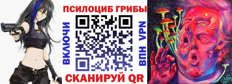 где найти наркотики  Коммунар  МЕГА зеркало  Галлюциногенные грибы Psilocybe 